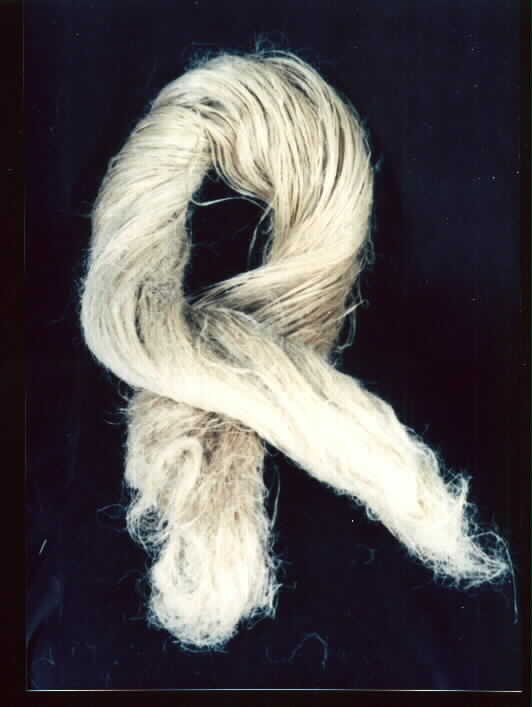 Flax fiber Directory for Textile Industry